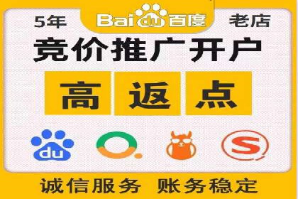 某品牌通过百度广告实现快速增长的案例